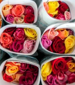 No Imported Roses image