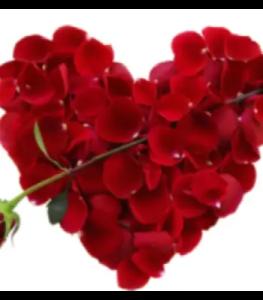 No Valentines day Flowers image