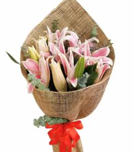 No White & Pink Stargazer Lilies image