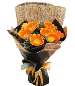 No Gerbera & Daisy image