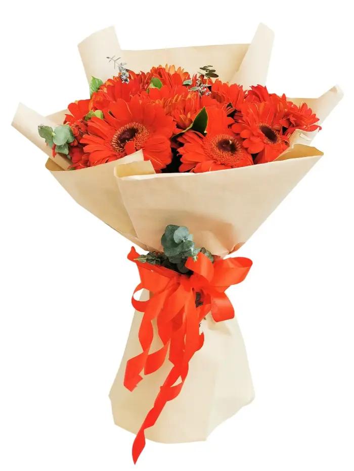 20 Pcs Vibrant Flame Orange Gerbera