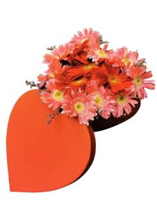 Gerbera love box